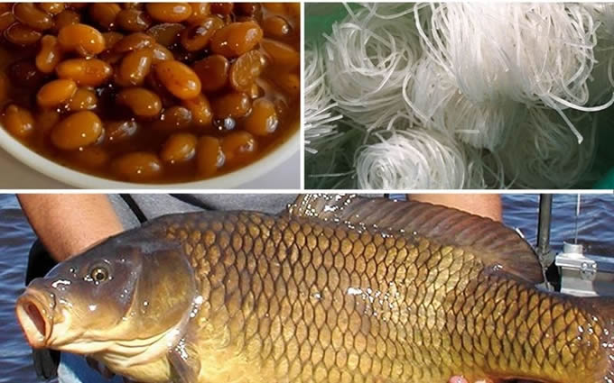 mon-ca-chep-gion-chung-tuong-bun-tau-don-gian ca-chep-gion-chung-tuong-hot-bun-tau