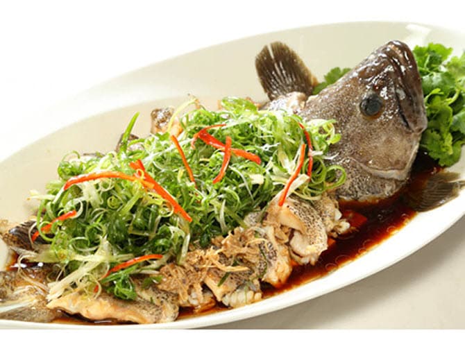 Ca-song-chung-mo-hanh-beo-ngay-thom-ngon Cach-lam-ca-song-chung-mo-hanh-giau-dinh-duong