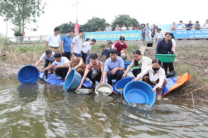 tha-ca-giong-tai-tao-thuy-san tha-ca-giong-tren-song-day
