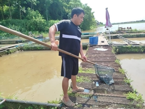 thiet-hai-ca-do-xa-day thiet-hai-ca-long